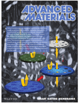 Smart Membranes: the concept, development, preparation methods and application of gating multi-scale pore/channel-based membranes