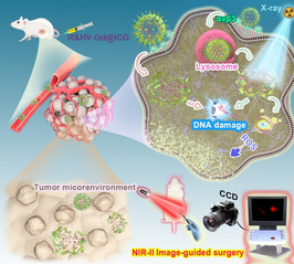 [Adcanced Science]Biodegradable Nanoprobe for NIR-II Fluorescence Image-Guided Surgery and Enhanced Breast Cancer Radiotherapy Efficacy