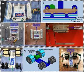 [Science Robotics] Electrically programmable adhesive hydrogels for climbing robots