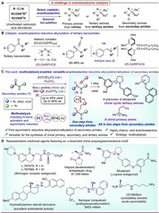 [Science Advances] Multicatalysis Protocol Enables Direct and Versatile Enantioselective Reductive Transformations of Secondary Amides