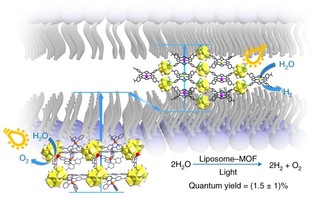 [Nature Chemistry] Metal–organic frameworks embedded in a liposome facilitate overall photocatalytic water splitting