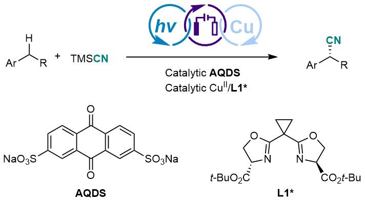 [Nature Catalysis] Photoelectrochemical Asymmetric Catalysis Enables Site- and Enantioselective Cyanation of Benzylic C–H Bonds