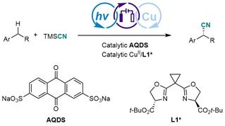 [Nature Catalysis] Photoelectrochemical Asymmetric Catalysis Enables Site- and Enantioselective Cyanation of Benzylic C–H Bonds