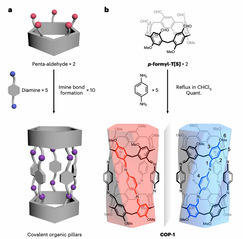 【Nature Synthesis】Synthesis of Covalent Organic Pillars as Molecular Nanotubes with Precise Length, Diameter and Chirality