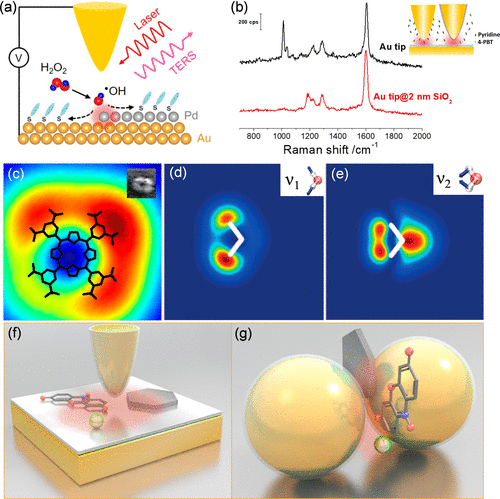 Core–Shell Nanostructure-Enhanced Raman Spectroscopy for Surface Catalysis