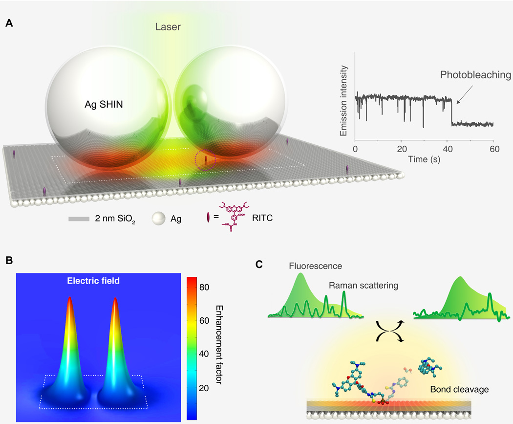 Real-time detection of single-molecule reaction by plasmon-enhanced spectroscopy