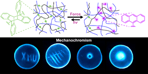 Mechanochromism and optical remodeling of multi-network elastomers containing anthracene dimers