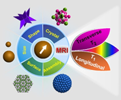 Structure–RelaxivityRelationships of Magnetic Nanoparticles for Magnetic Resonance Imaging