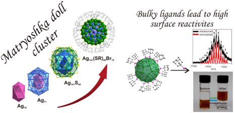 Bulky Surface Ligands Promote Surface Reactivities of [Ag141X12(S-Adm)40]3+ (X = Cl, Br, I) Nanoclusters: Models for Multiple-Twinned Nanoparticles