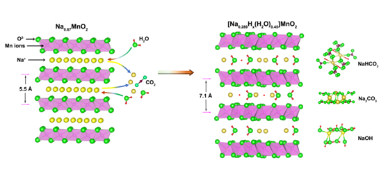 The stability of P2-layered sodium transition metal oxides in ambient atmospheres