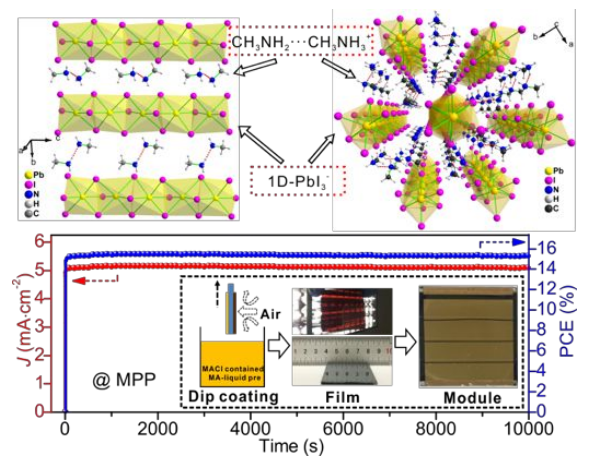 Methylamine-Dimer-Induced Phase Transition toward MAPbI3 Films and High-Efficiency Perovskite Solar Modules