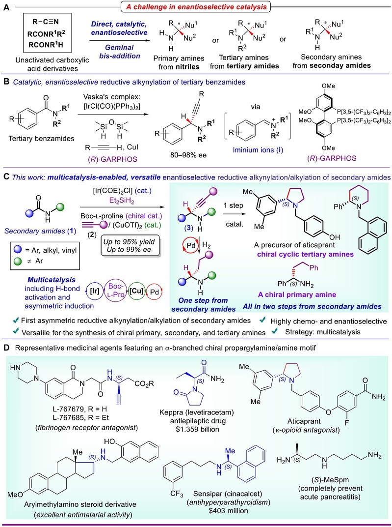 [Science Advances] Multicatalysis Protocol Enables Direct and Versatile Enantioselective Reductive Transformations of Secondary Amides