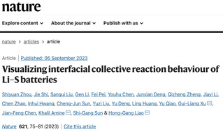 [Nature] Visualizing Interfacial Collective Reaction Behaviour of Li-S Batteries