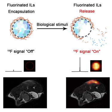 A Fluorinated Ionic Liquid-Based Activatable 19F MRI Platform Detects Biological Targets
